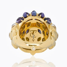 Load image into Gallery viewer, r41465-bmtzowl