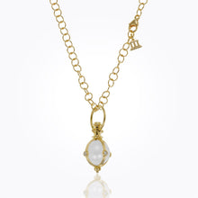 Load image into Gallery viewer, P51800-R11
