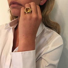 Load image into Gallery viewer, R14132-YB6SL
