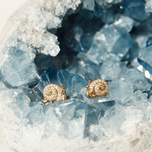 Load image into Gallery viewer, E31871-SNAIL
