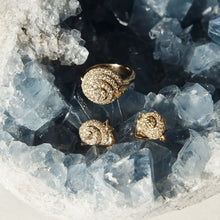 Load image into Gallery viewer, R31871-PVSNAIL
