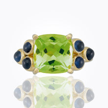 Load image into Gallery viewer, R16417-CLPDBS
