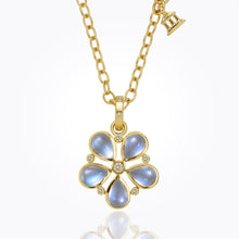 Load image into Gallery viewer, P34107-BMFLW
