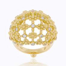 Load image into Gallery viewer, R31800-FIORBOM
