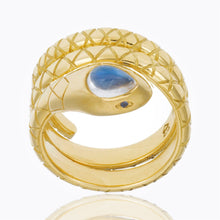 Load image into Gallery viewer, R34136-DBSERPBM
