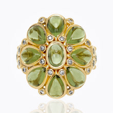 Load image into Gallery viewer, r41412-blosspd
