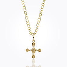 Load image into Gallery viewer, P31801-FIORX
